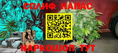 гашик Донской