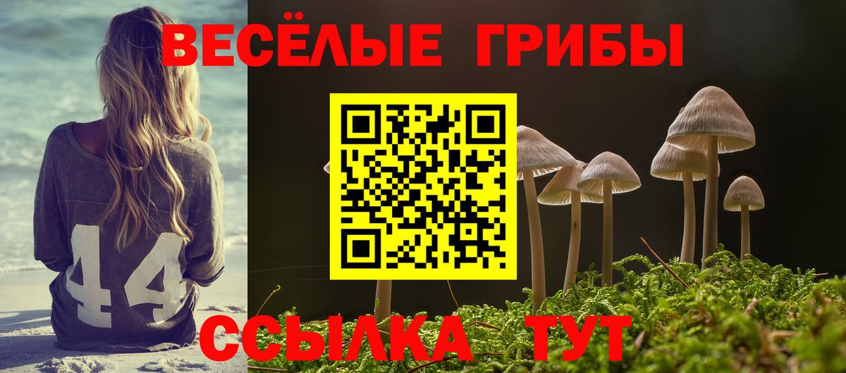 Галлюциногенные грибы прущие грибы  Вход с VPN  Нижнеудинск 